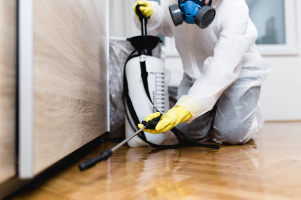 Best Pest Control Near Me in Greenup, KY