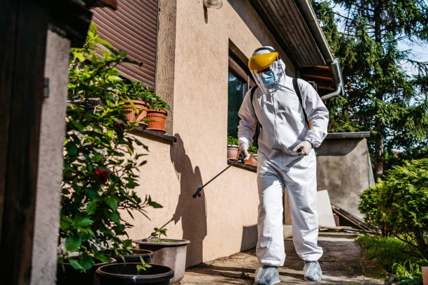 Best Wasp Removal Services  in Greenup, KY