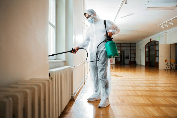 Best Local Pest Control Services  in Greenup, KY