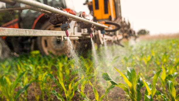 Best Best Pest Control Companies  in Greenup, KY